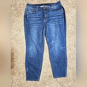 Judy blue jeans 18w